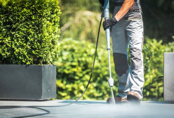 Best Driveway Pressure Washing  in Fyffe, AL