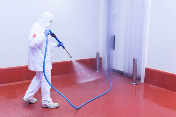 Best Restaurant Pressure Washing  in Fyffe, AL